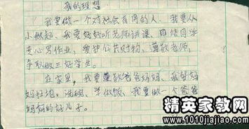 理想中的自己500字作文開(kāi)頭結尾