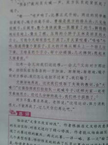 拔河比賽記敘文600字作文開(kāi)頭