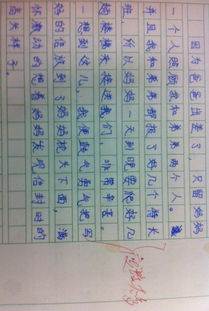 關(guān)于媽媽的改變作文開(kāi)頭