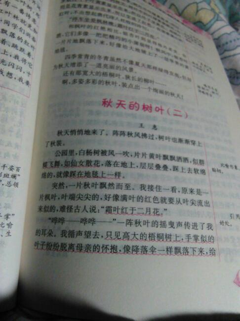 寫(xiě)人的作文五級同學(xué)的作文開(kāi)頭