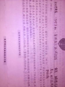 作文,開(kāi)頭,榮譽(yù),家庭