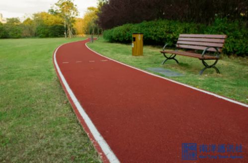 清晨陽(yáng)光起床的作文開(kāi)頭