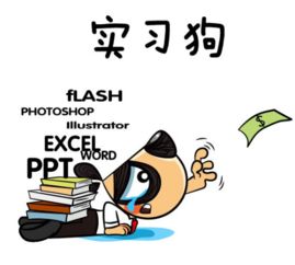 家裝設計畢業(yè)實(shí)習周記(家裝設計畢業(yè)實(shí)習周記)