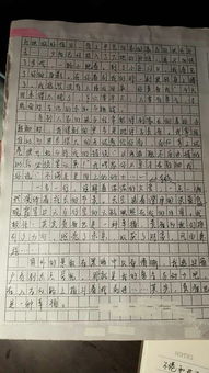 關(guān)于牽動(dòng)感情的作文開(kāi)頭
