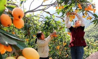 愛(ài)家鄉的作文600字作文開(kāi)頭