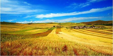 冬去秋來(lái)開(kāi)頭的作文