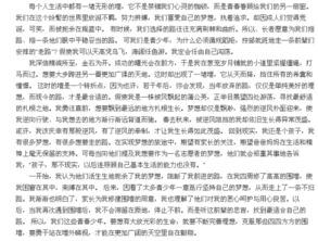 院墻外的天空作文開(kāi)頭