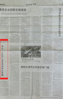 關(guān)于鄉村振興的調研報告(關(guān)于鄉村振興的調研報告)