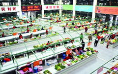 去菜場(chǎng)作文(去菜場(chǎng)買(mǎi)菜作文550字)