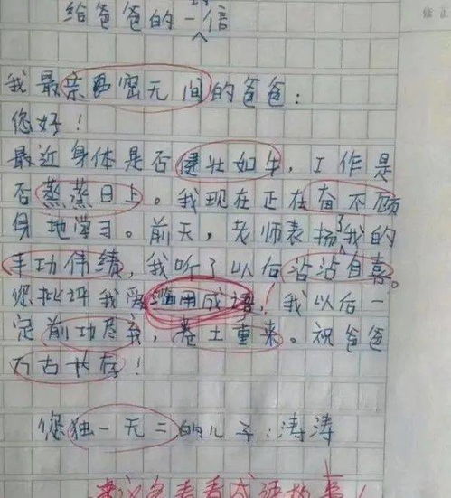 古詩(shī)文開(kāi)頭的作文