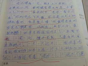 一次難忘的發(fā)現作文600字作文開(kāi)頭怎么寫(xiě)
