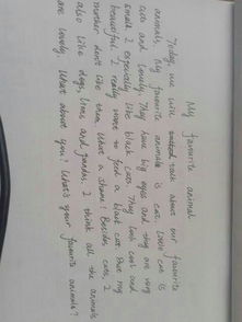 如何寫(xiě)我最喜歡的小動(dòng)物作文的開(kāi)頭