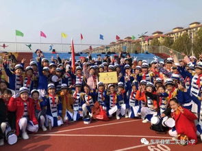 實(shí)驗小學(xué)體衛藝工作總結(體衛藝工作總結)