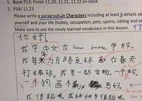 我用眼睛發(fā)現溫暖作文開(kāi)頭