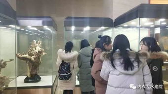 我的肩膀能挑多重的擔子作文開(kāi)頭