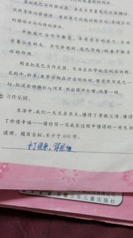 明白道理的作文開(kāi)頭