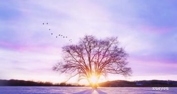 成長(cháng)的作文開(kāi)頭優(yōu)美句子