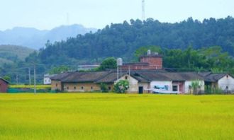 描寫(xiě)田園風(fēng)光的作文的開(kāi)頭