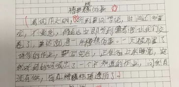 聽(tīng)見(jiàn)作文的優(yōu)秀開(kāi)頭