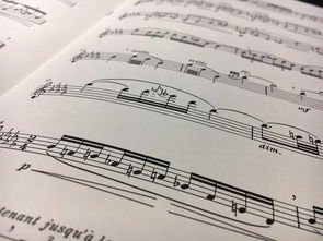 十月的作文怎么寫(xiě)開(kāi)頭