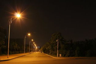 路燈的借物喻人作文開(kāi)頭