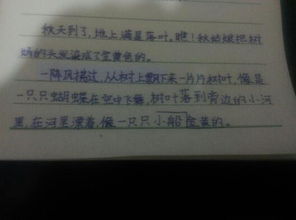 寫(xiě)落葉作文的開(kāi)頭