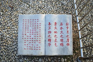 身邊的風(fēng)景也動(dòng)人記敘文600字作文開(kāi)頭