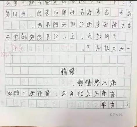 謝謝了我的家六級作文開(kāi)頭