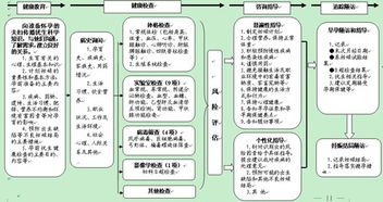 建設項目實(shí)施方案(學(xué)校建設項目策劃書(shū))