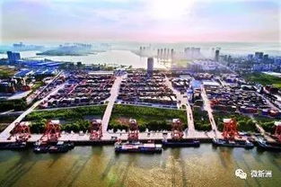 長(cháng)江新城建在哪兒？(宜家到底建在哪？)