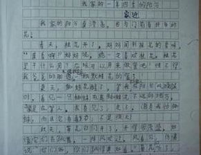 高中作文寫(xiě)景開(kāi)頭優(yōu)美開(kāi)頭