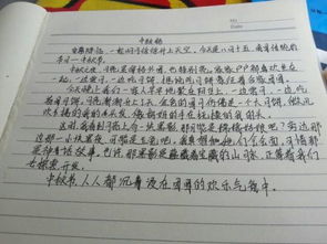 父母不在的中秋節作文開(kāi)頭