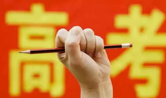  新高考改革何去何從(村治改革，組長(cháng)何去何從)