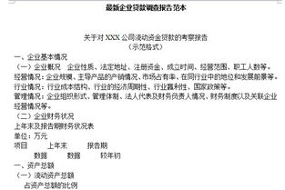 企業(yè)貸款調查報告(企業(yè)貸款調查報告)