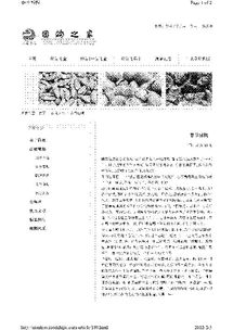 春節感悟的作文的開(kāi)頭