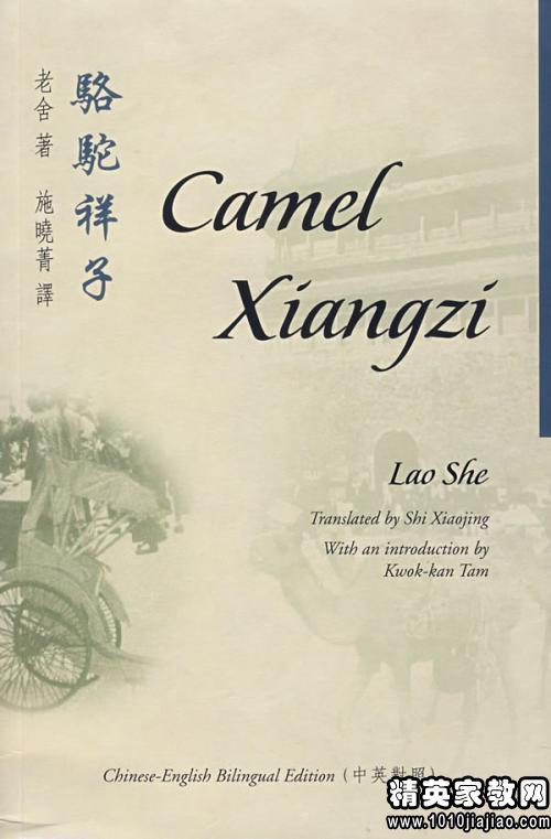 駱駝祥子讀后感作文優(yōu)秀開(kāi)頭