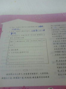 我的樂(lè )與憂(yōu)開(kāi)頭作文