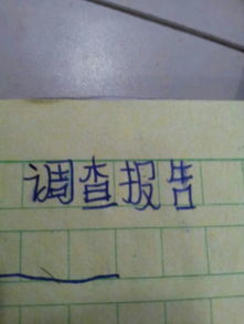 地名調查報告(地名調查報告)