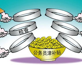 違規發(fā)放工資獎金自查自糾報告(商務(wù)局清理整治公務(wù)用車(chē)違規行為的自查自糾報告)