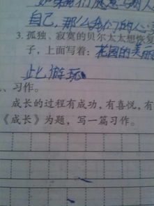 以咀嚼成長(cháng)作文開(kāi)頭結尾