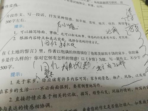 鄉情作文初一開(kāi)頭