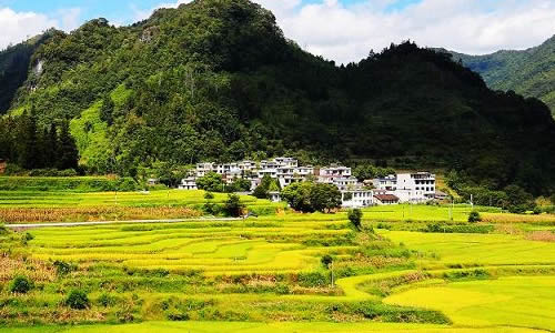 田園趣事作文400字開(kāi)頭