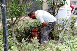 供水公司管網(wǎng)工作總結(供水管網(wǎng)改造研究)