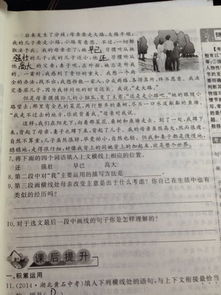 關(guān)于散步的作文開(kāi)頭,以散步為題的作文開(kāi)頭,散步作文開(kāi)頭怎么寫(xiě)