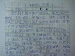 感謝母親寫(xiě)事作文開(kāi)頭結尾