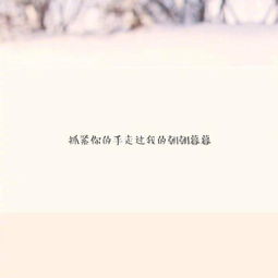 遇見(jiàn)你很幸運作文開(kāi)頭