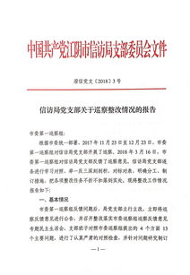 巡察整改報告(巡察反饋意見(jiàn)整改報告)