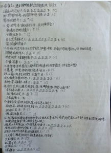 調查研究報告格式(調查研究報告格式)