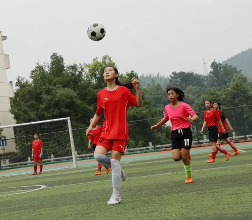 體校怎么考 (體校怎么進(jìn) )