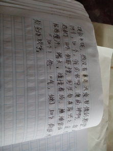 遺憾作文開(kāi)頭結尾大全